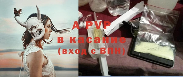 винт Абаза
