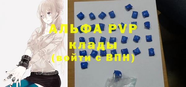 молекула духа Алексин