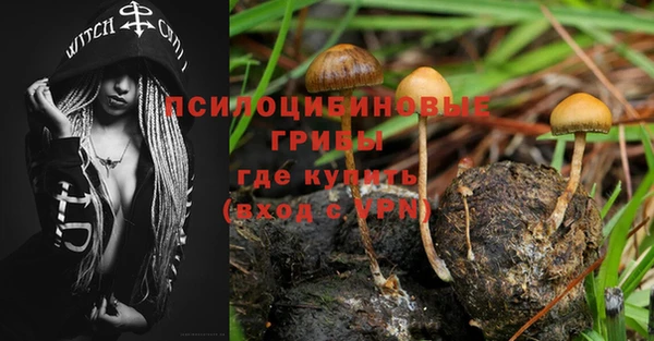 молекула духа Алексин