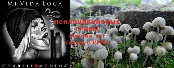 сатива Алексеевка