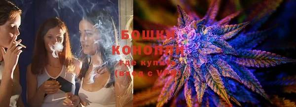 молекула духа Переславль-Залесский