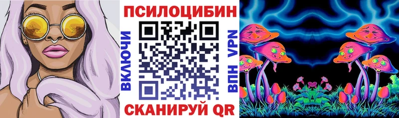 Псилоцибиновые грибы Cubensis  Кандалакша 