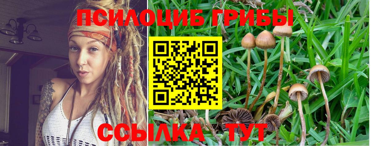 Галлюциногенные грибы GOLDEN TEACHER  Вход с VPN  Псилоцибиновые грибы GOLDEN TEACHER  Кандалакша 