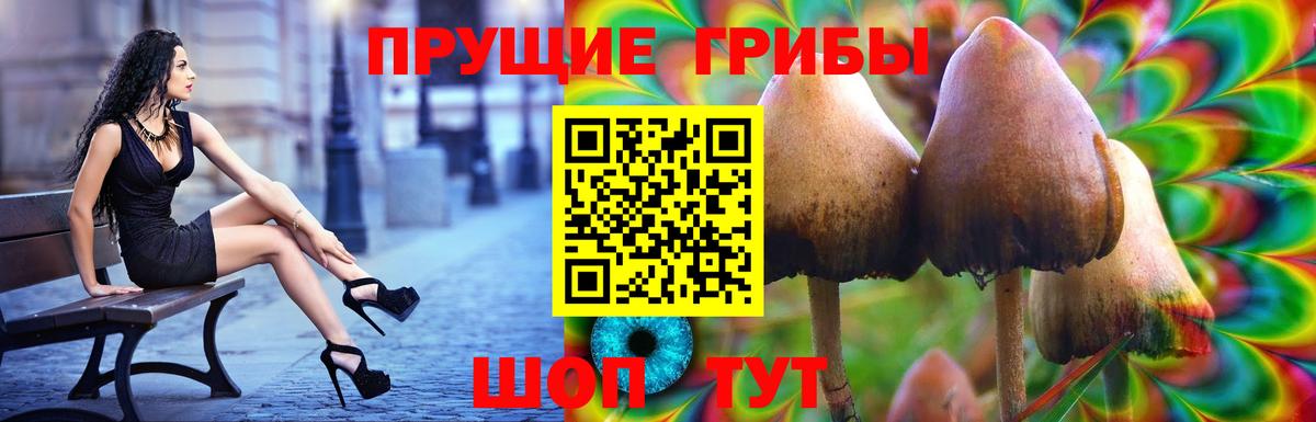 Галлюциногенные грибы прущие грибы Кандалакша
